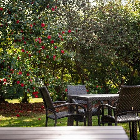 Copthorne Effingham Gatwick Hotel المظهر الخارجي الصورة
